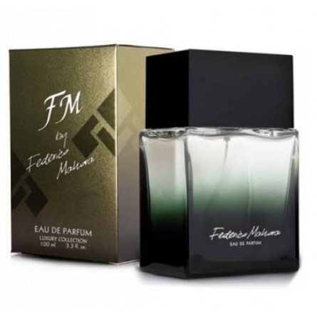 334 FM Group - nezaměňujte s Terre d'Hermes - Hermes